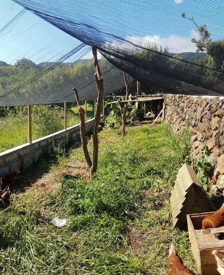 فيلا Quinta Rico Quatro Ribeiras المظهر الخارجي الصورة